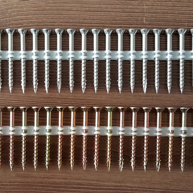 Plastic collated Strip Screws